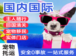 巴彦淖尔空运地址国际宠物托运 【国